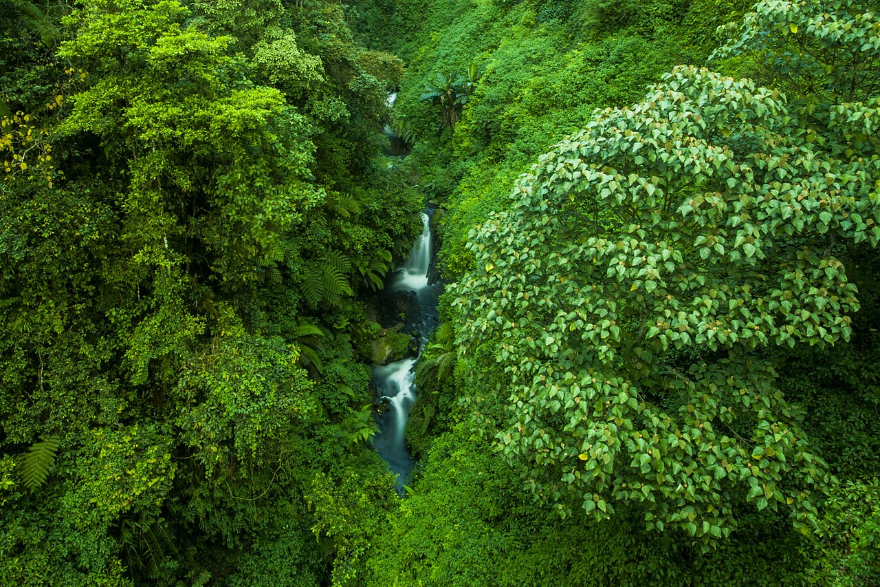 East Java